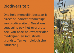 Biodiversiteit_ECO+BOUW